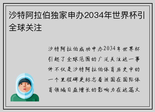 沙特阿拉伯独家申办2034年世界杯引全球关注 沙特阿拉伯独家申办2034年世界杯引全球关注