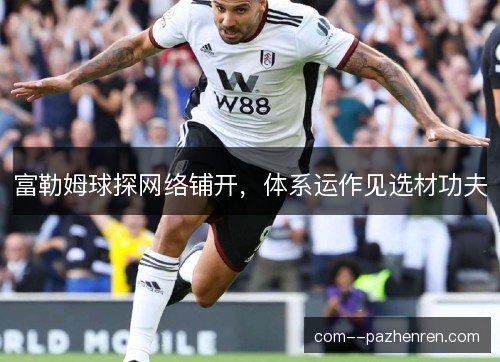 富勒姆球探网络铺开,体系运作见选材功夫 富勒姆球探网络铺开,体系运作见选材功夫